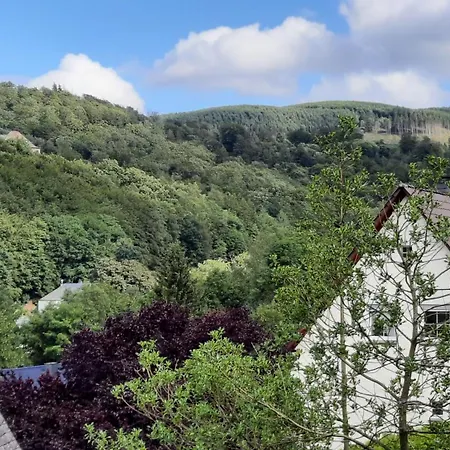 Appartement Yalet Ferienhaus Gezellig Met 1 Slaapkamer Vlakbij Willingen Brilon-Wald