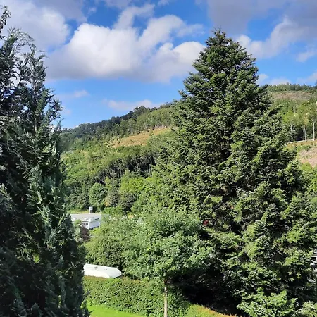 Yalet Ferienhaus Gezellig Met 1 Slaapkamer Vlakbij Willingen